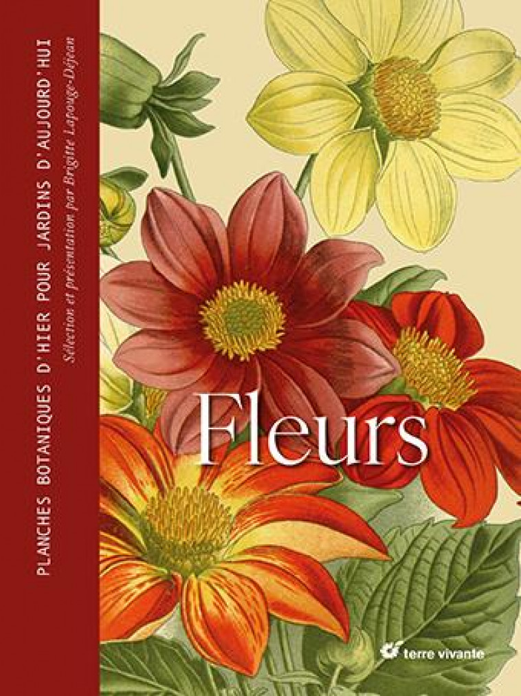 FLEURS : PLANCHES BOTANIQUES D'HIER POUR JARDINS D'AUJOURD'HUI - LAPOUGE-DEJEAN, BRIGITTE - TERRE VIVANTE