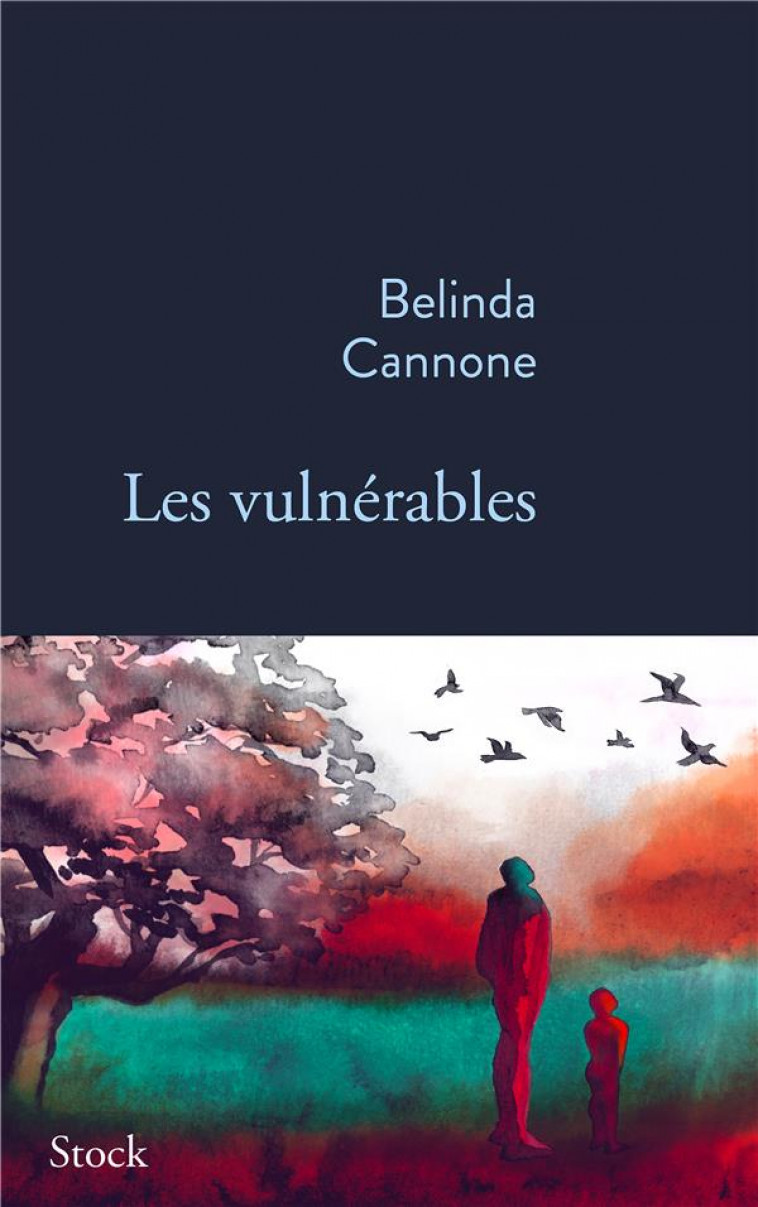 LES VULNERABLES - CANNONE - STOCK