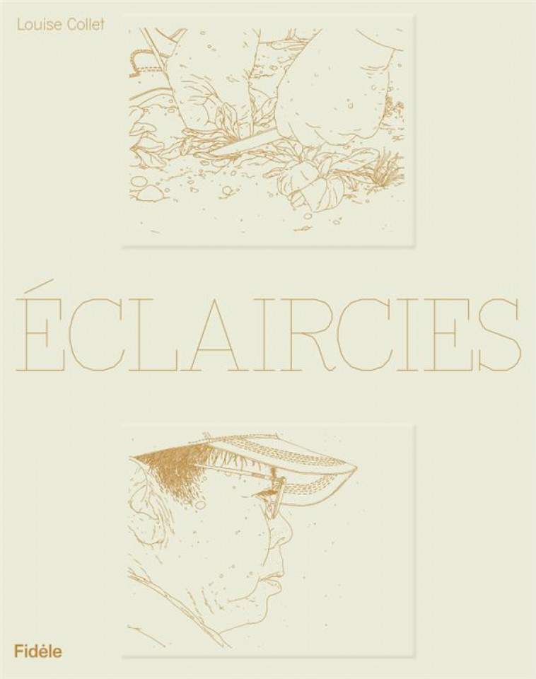 DES ECLAIRCIES - COLLET - BOOKS ON DEMAND