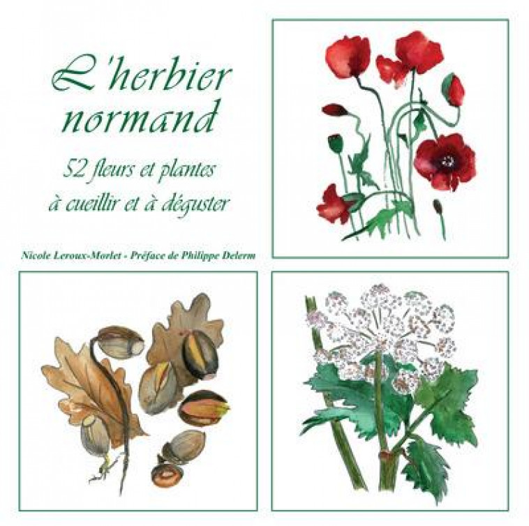 L'HERBIER NORMAND : 52 FLEURS ET PLANTES A CUEILLIR ET A DEGUSTER - LEROUX-MORLET, NICOLE - VENTS ET MAREES