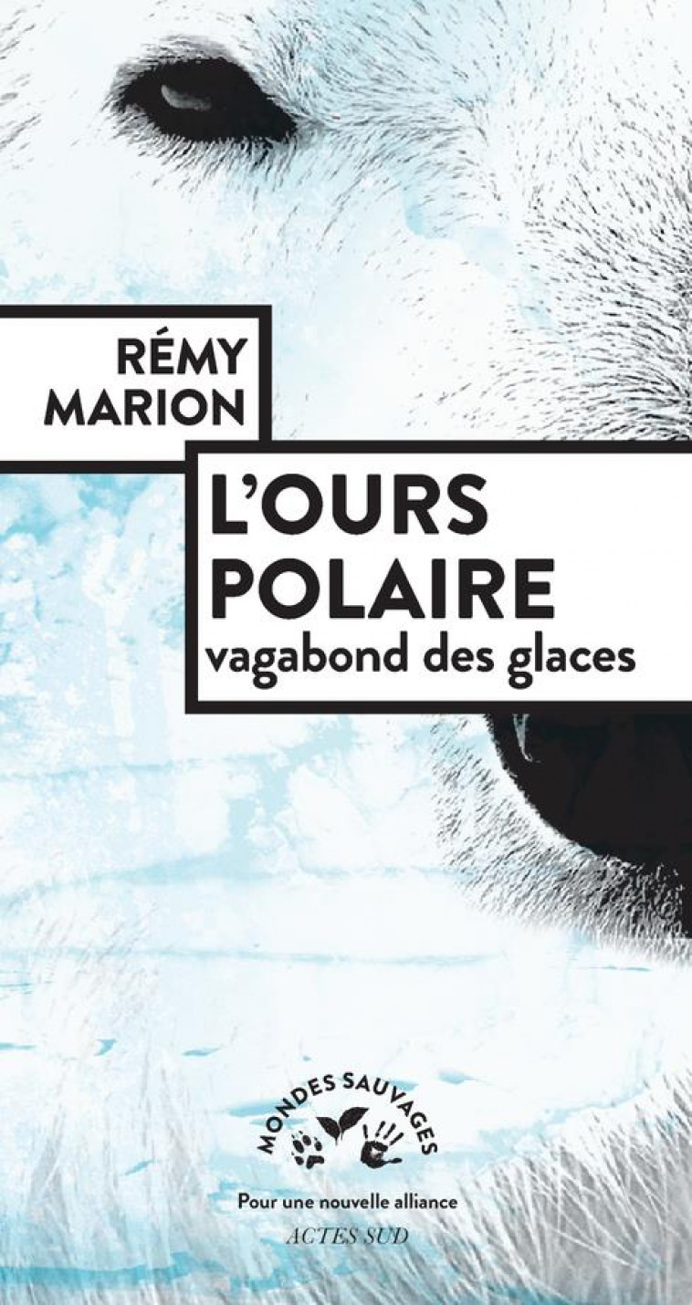 L-OURS POLAIRE, VAGABOND DES GLACES - MARION REMY - ACTES SUD