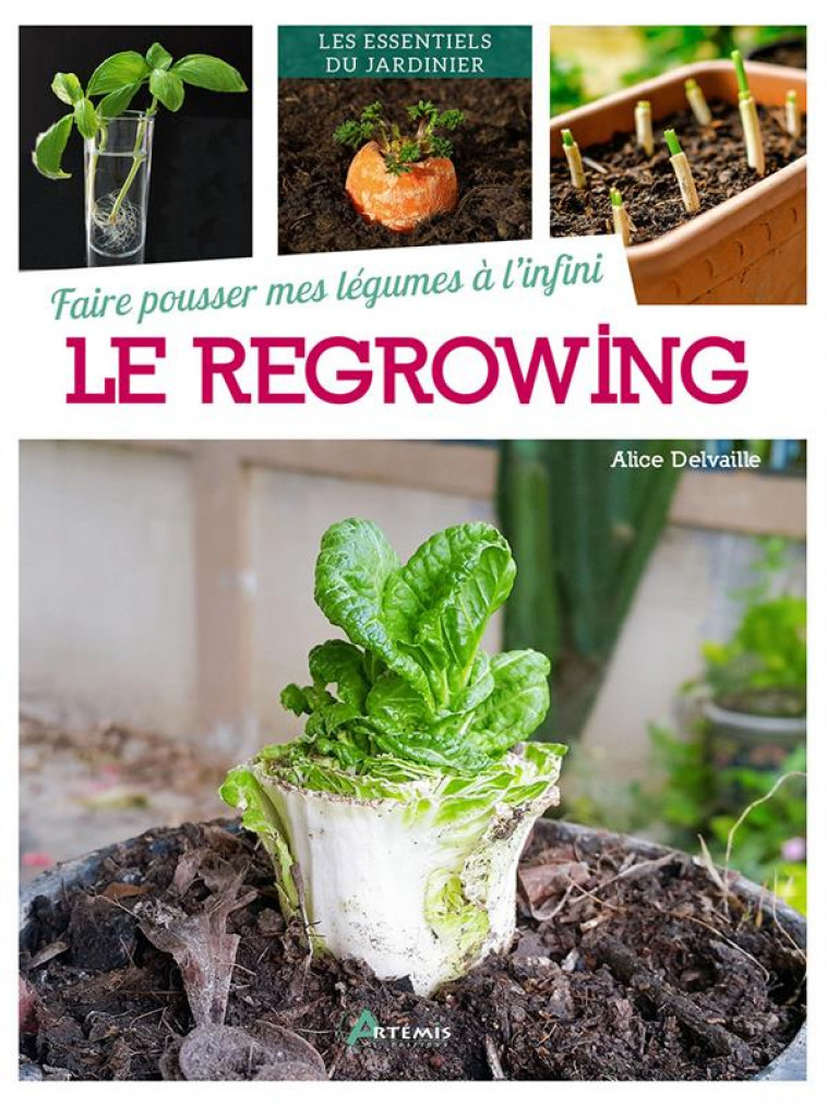 FAIRE POUSSER MES LEGUMES A L-INFINI : LE REGROWING - DELVAILLE ALICE - ARTEMIS