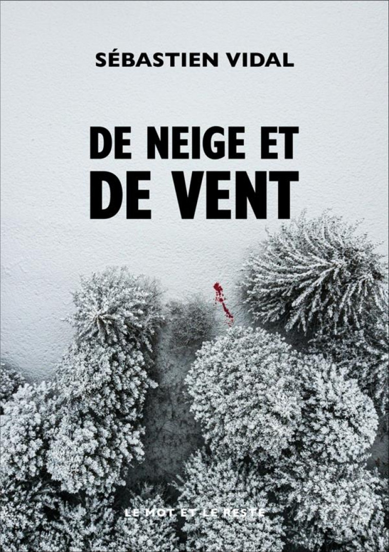 DE NEIGE ET DE VENT - VIDAL SEBASTIEN - MOT ET LE RESTE