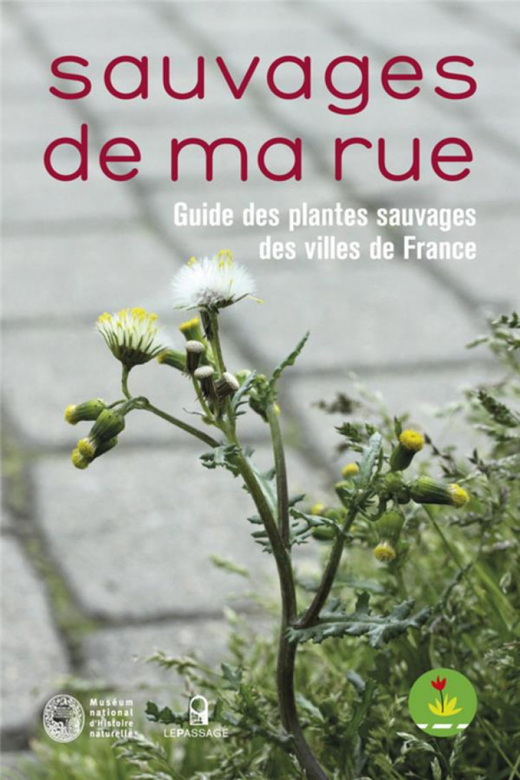 SAUVAGES DE MA RUE. GUIDE DES PLANTES SAUVAGES DES VILLES DE FRANCE - COLLECTIF - LE PASSAGE