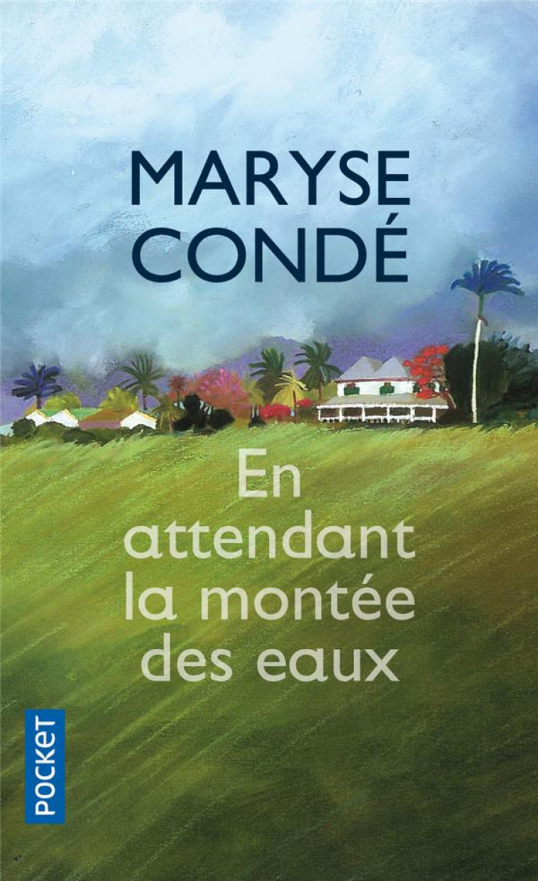 EN ATTENDANT LA MONTEE DES EAUX - CONDE, MARYSE - Pocket