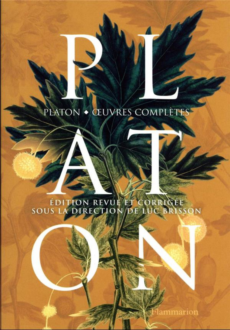 OEUVRES COMPLETES - PLATON - FLAMMARION