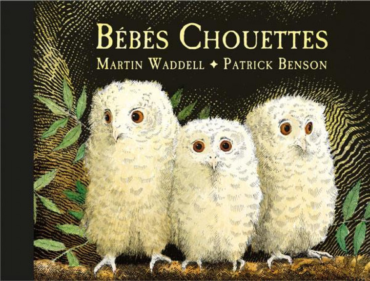 BEBES CHOUETTES - BENSON/WADDELL - EDL