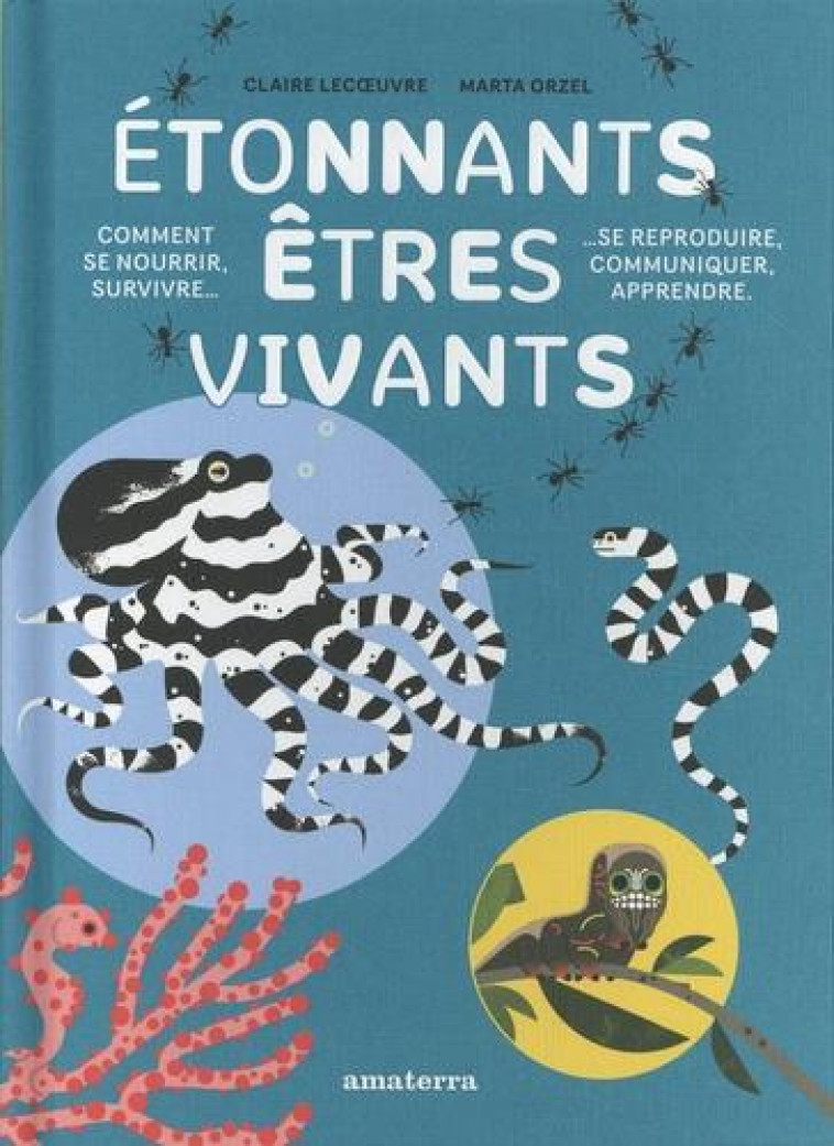 ETONNANTS ETRES VIVANTS - LECUVRE/ORZEL - AMATERRA