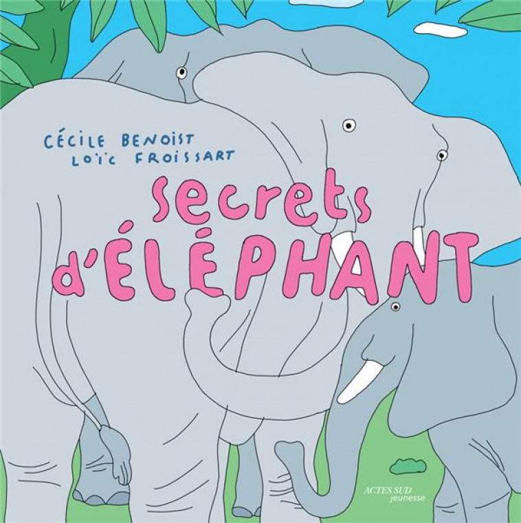 SECRETS D-ELEPHANT - BENOIST/FROISSART - ACTES SUD