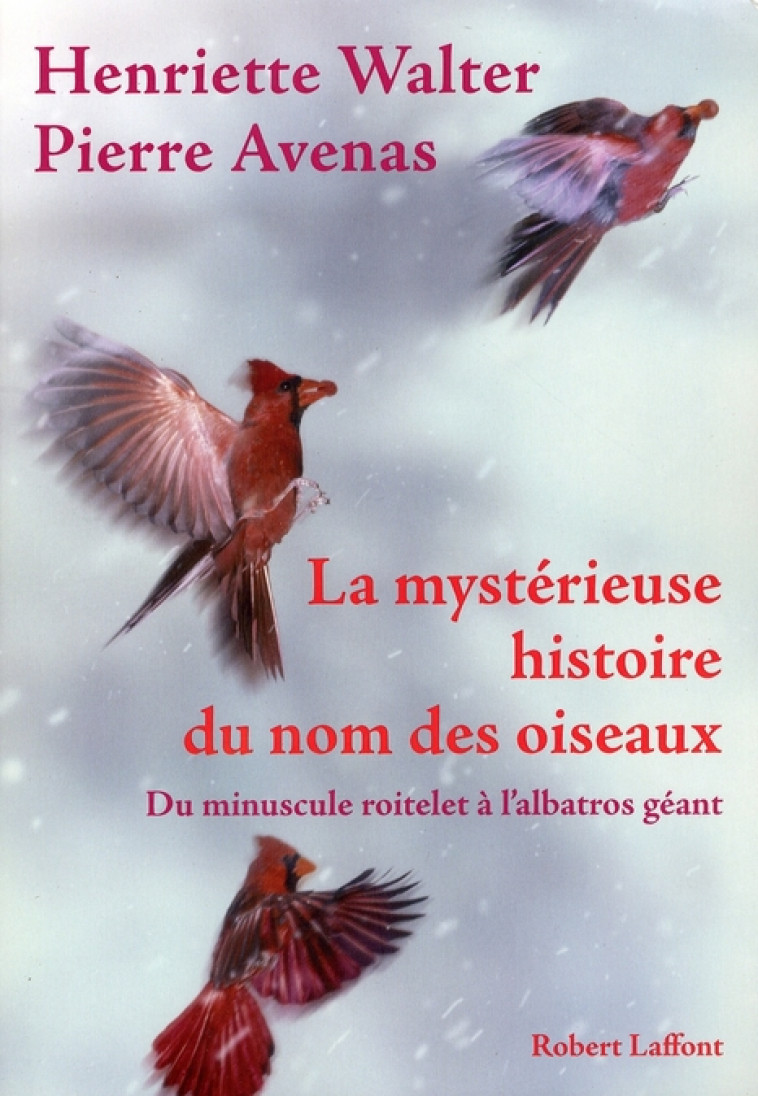 LA MYSTERIEUSE HISTOIRE DU NOM DES OISEAUX  -  DU MINUSCULE ROITELET A L'ALBATROS GEANT -  WALTER  HENRIETTE - ROBERT LAFFONT