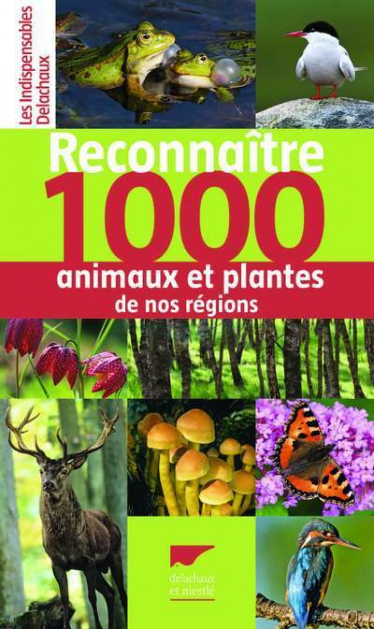 Reconnaître 1000 animaux et plantes de nos régions - Collectif Collectif, Collectif  - DELACHAUX