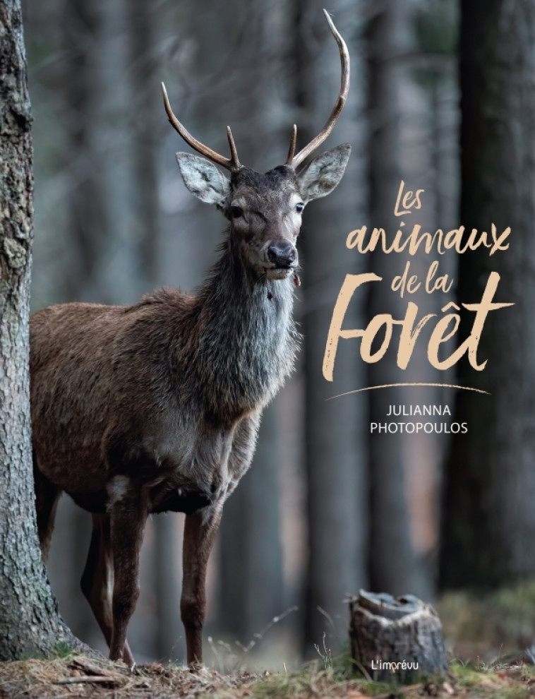 Les animaux de la forêt - Photopoulos Julianna - L IMPREVU