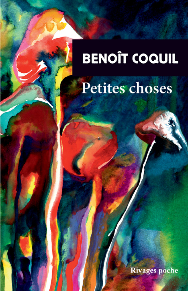 Petites choses - Coquil Benoît - RIVAGES