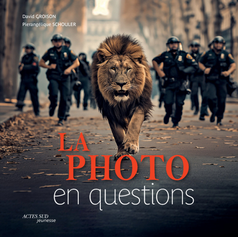 La photo en questions - Pierangélique Schouler, David Groison - ACTES SUD