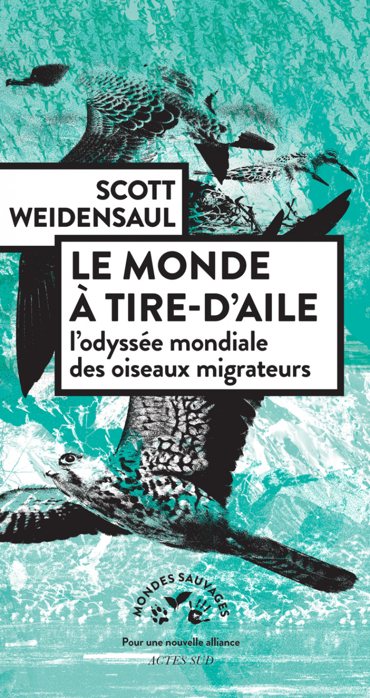 Le monde à tire-d'aile - Weidensaul Scott, Anne Steiger - ACTES SUD