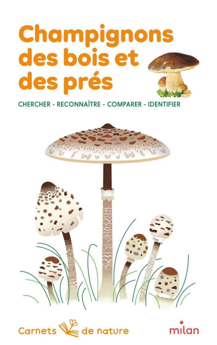 Champignons des bois et des prés - Nicole Bustarret, Hélène Appell-Mertiny, Lucie Brunellière - MILAN