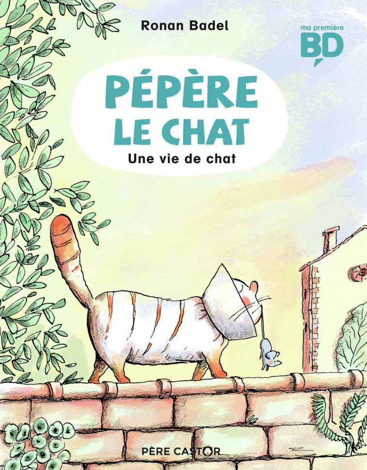 Une vie de chat - Ronan Badel - PERE CASTOR