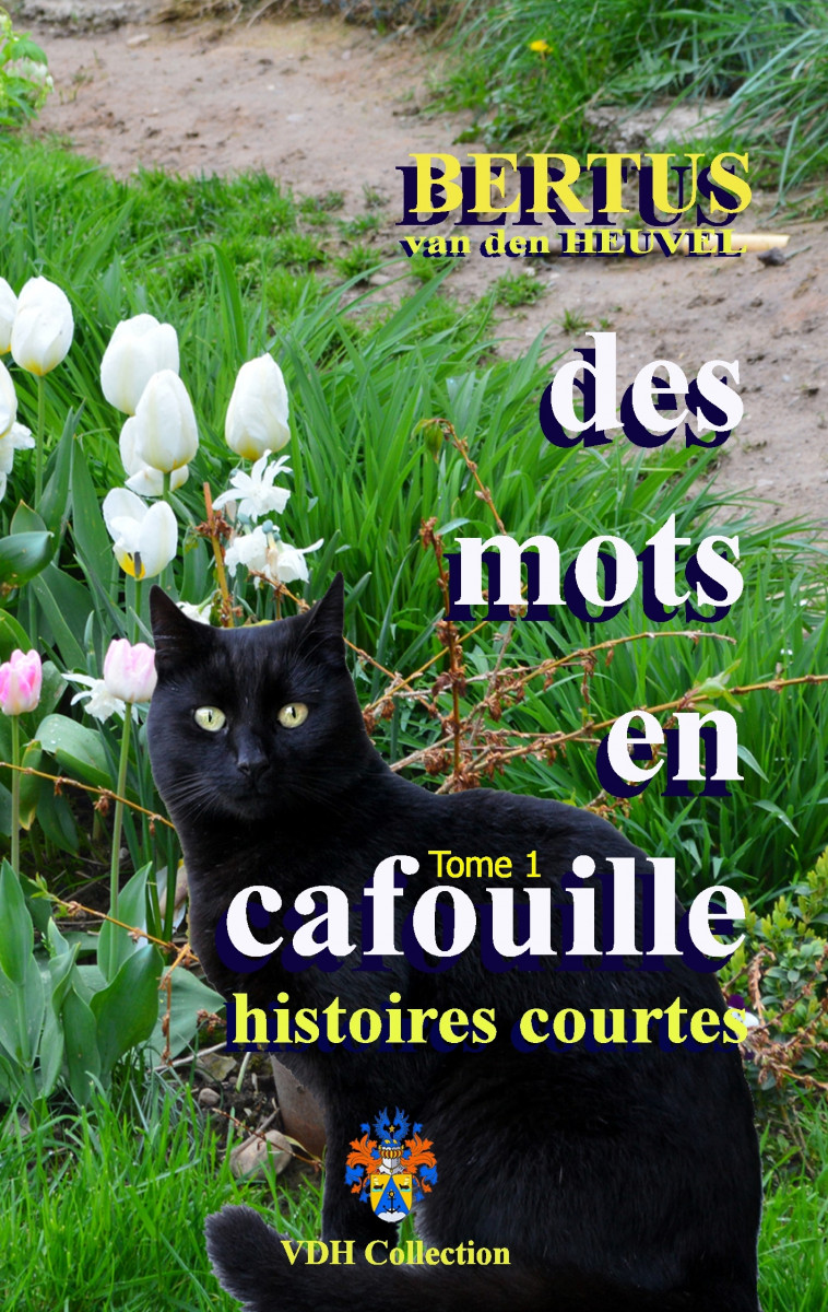 DES MOTS EN CAFOUILLE -  VAN DEN HEUVEL - BOOKS ON DEMAND