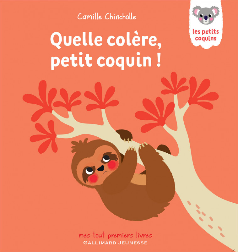 Quelle colère, petit coquin ! - Camille Chincholle - GALLIMARD JEUNE