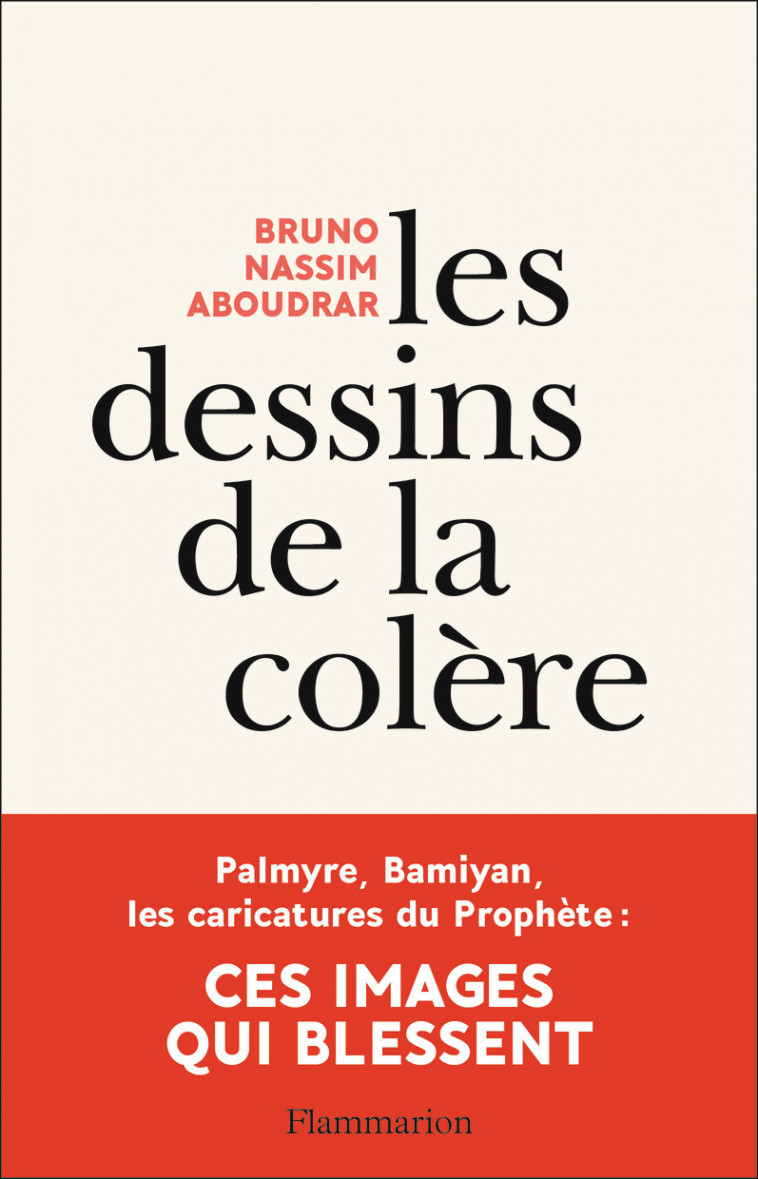 Les dessins de la colère - Bruno Nassim Aboudrar - FLAMMARION