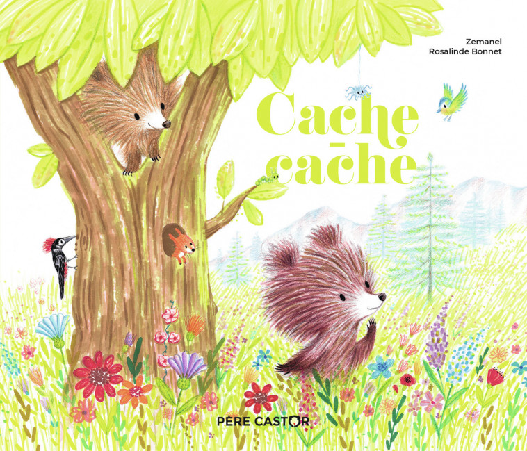 Cache-cache -  Zemanel - PERE CASTOR