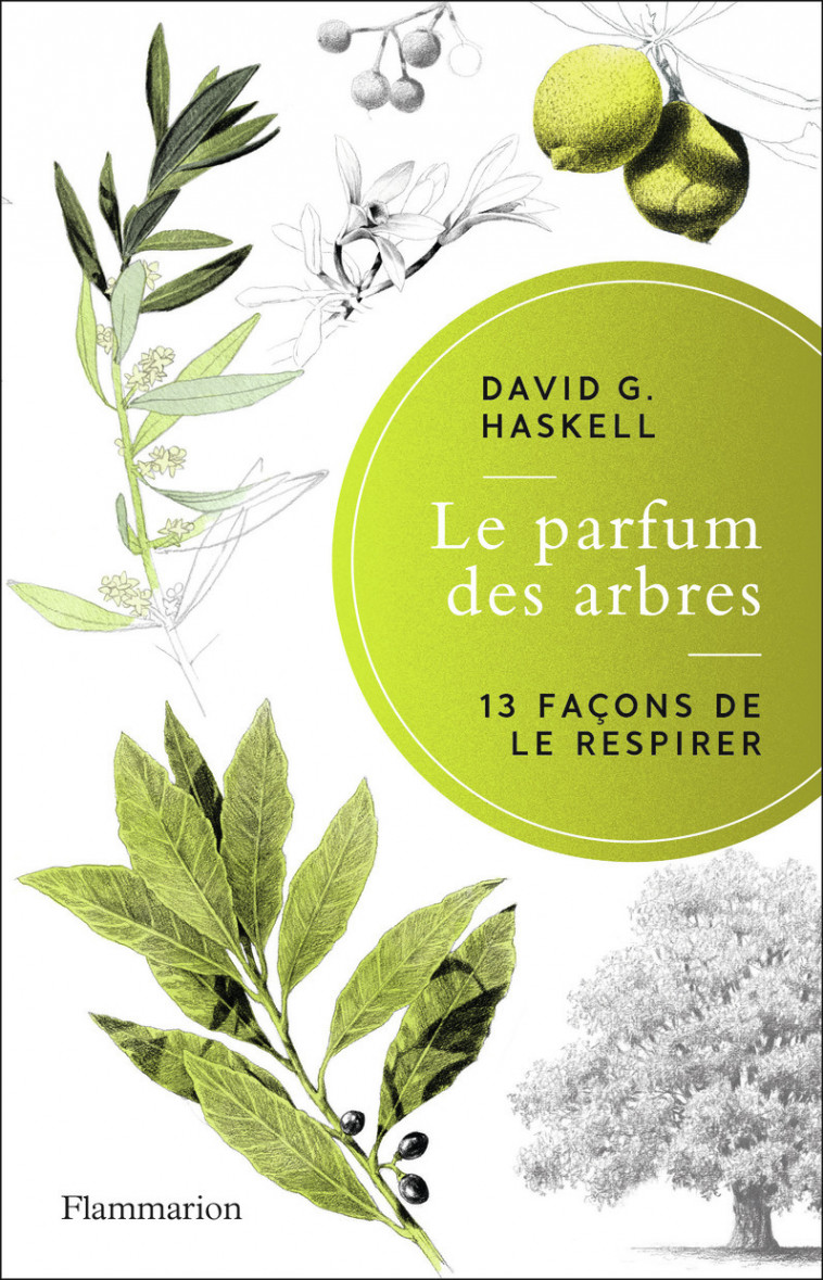 Le parfum des arbres - David G. Haskell - FLAMMARION