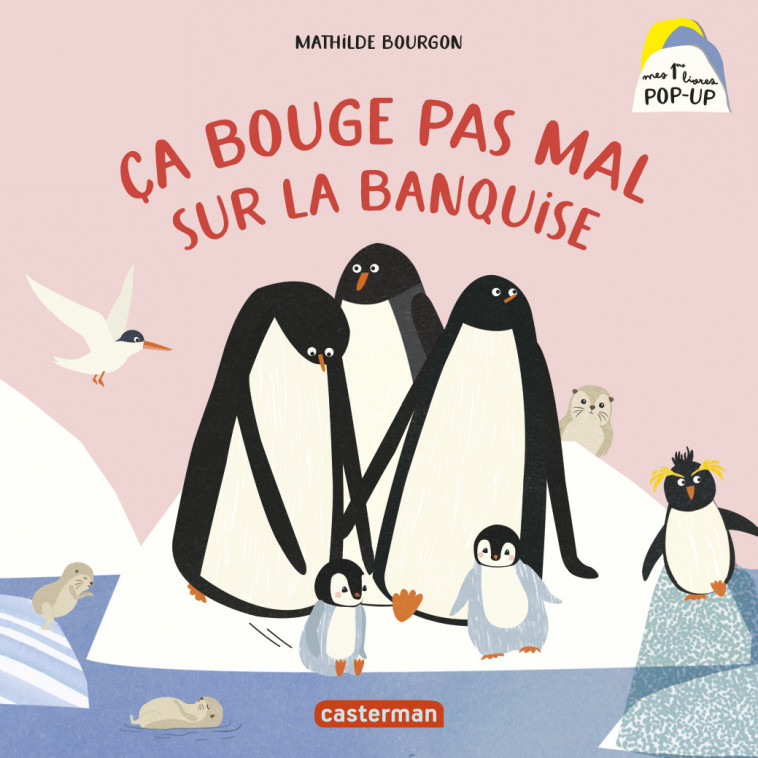 Mes 1ers livres Pop-Up - Ça bouge pas mal sur la banquise - Mathilde Bourgon - CASTERMAN