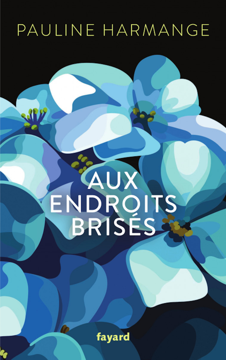 Aux endroits brisés - Pauline Harmange - FAYARD