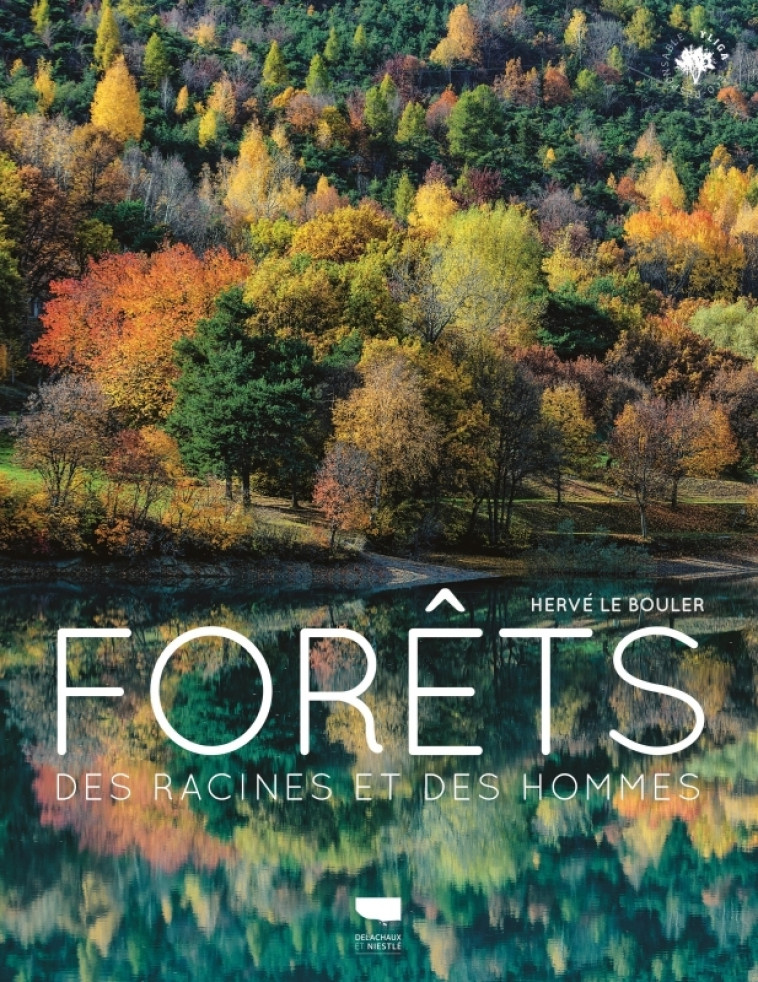 Forêts - Hervé Le Bouler - DELACHAUX