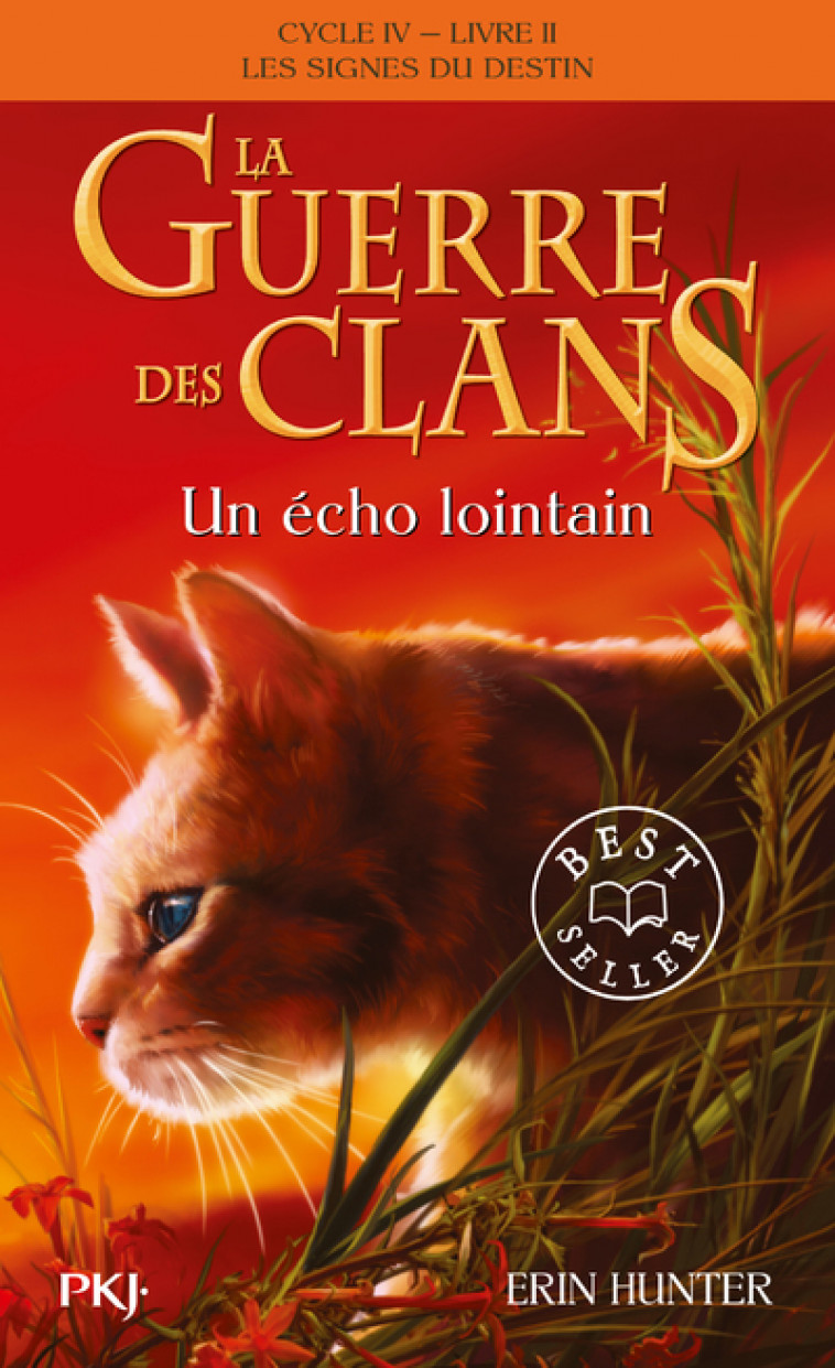 La Guerre des Clans, Cycle IV - tome 2 Un écho lointain - Erin Hunter - POCKET JEUNESSE