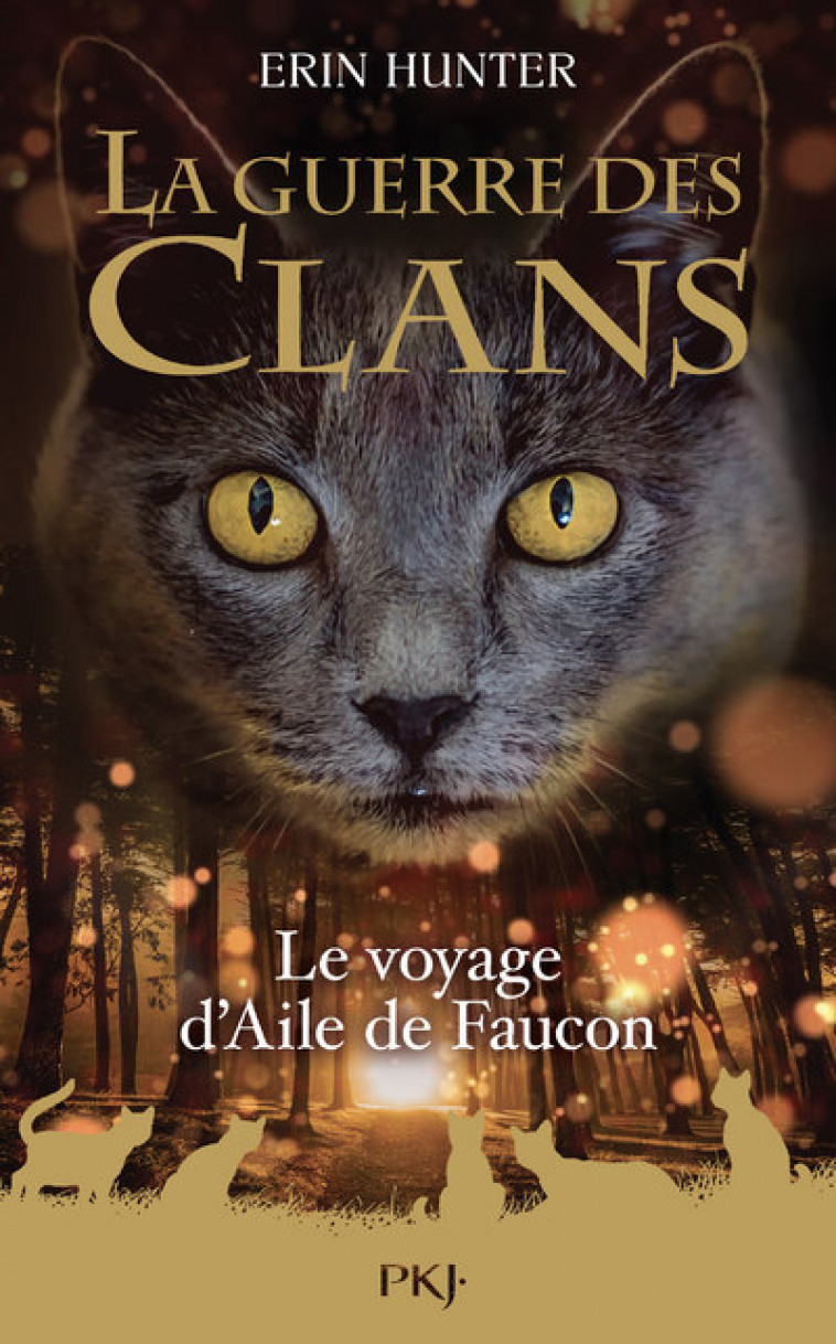 Guerre des clans - Hors-série - Tome 9 Le voyage d'Aile de Faucon - Erin Hunter - POCKET JEUNESSE