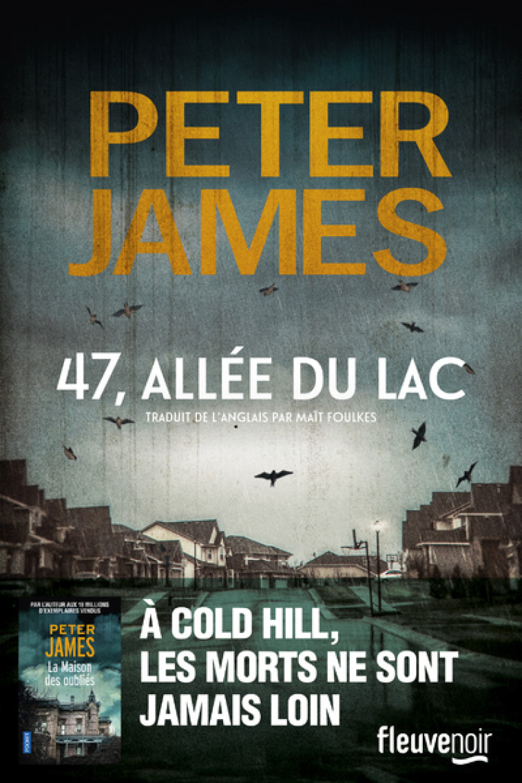 47, allée du lac - Peter James - FLEUVE EDITIONS