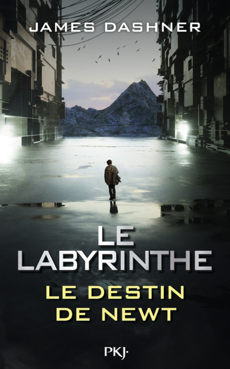 Le Labyrinthe - Le destin de Newt - James Dashner - POCKET JEUNESSE