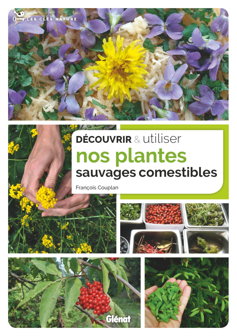 Découvrir et utiliser nos plantes sauvages comestibles - François Couplan - GLENAT