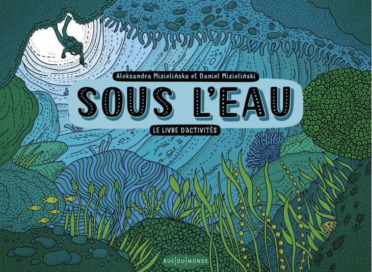 Sous l'eau - Le livre d'activités - Aleksandra MIZIELINSKA - RUE DU MONDE