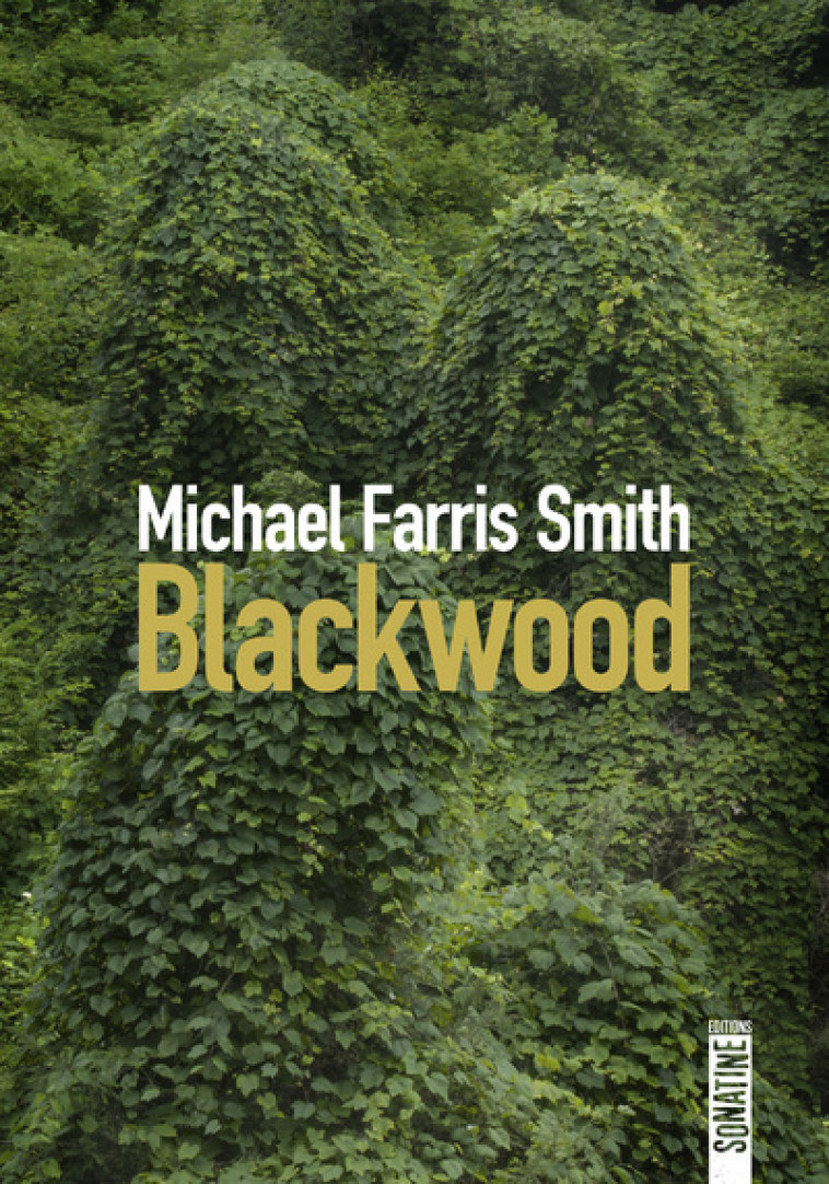 Blackwood - Michael Farris Smith - SONATINE