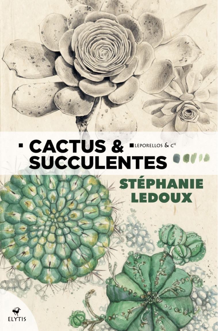 Cactus & succulentes - Stéphanie LEDOUX - ELYTIS