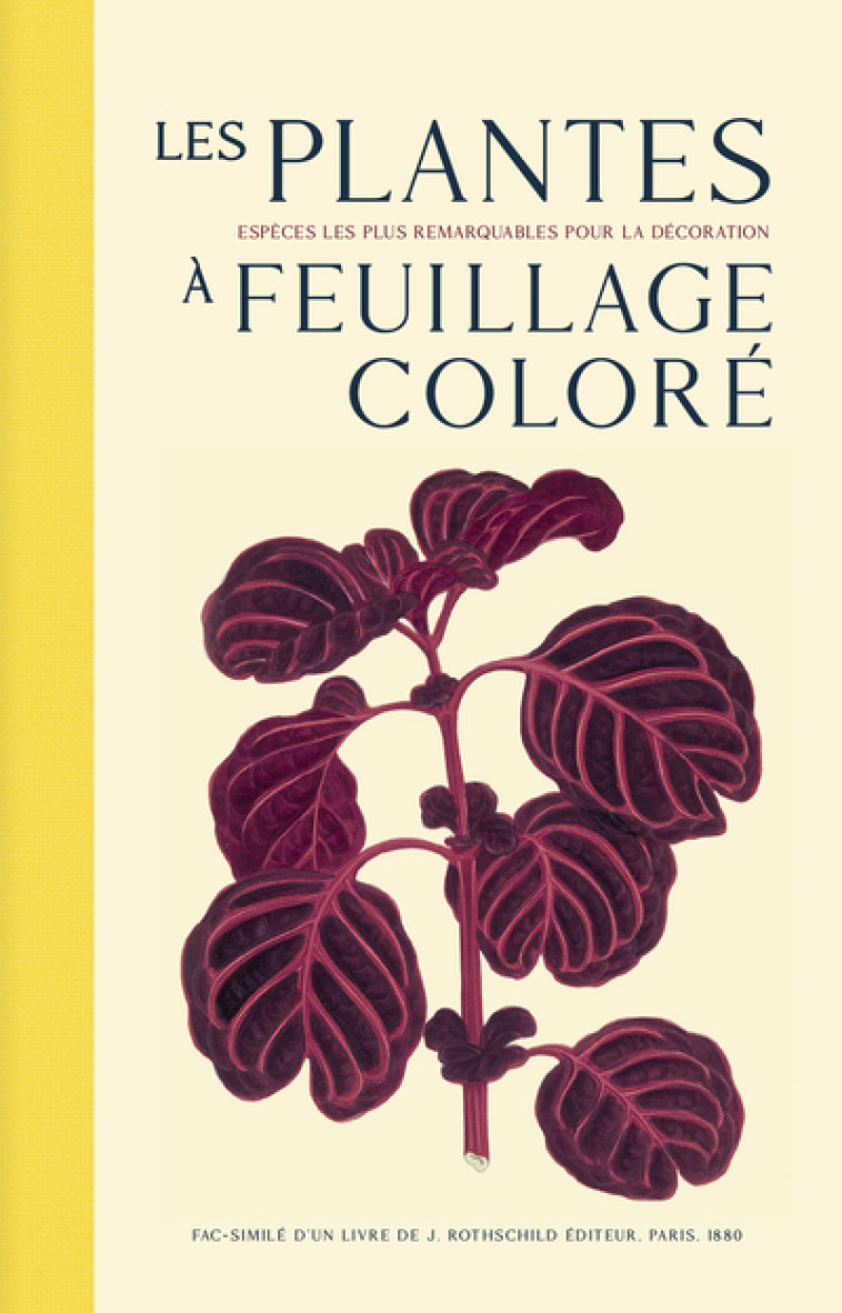 Les plantes à feuillage coloré - Les espèces les plus remarquables pour la décoration - Edward Lowe - EDTS BIBLIOMANE