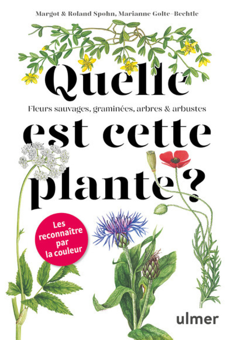 Quelle est cette plante ? - Margot Spohn - ULMER