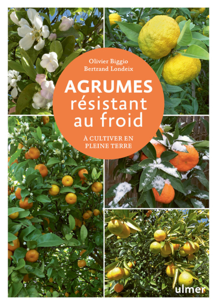 Agrumes résistant au froid - A cultiver en pleine terre - Olivier Biggio - ULMER