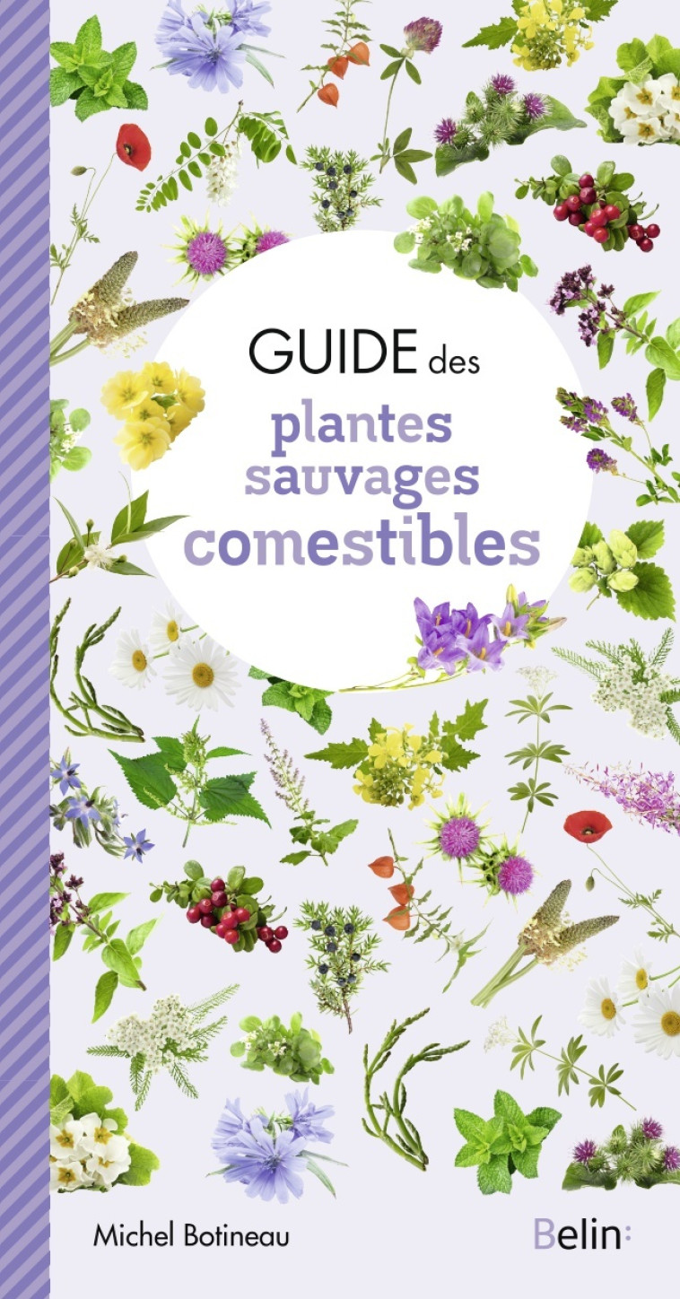 Guide des plantes sauvages comestibles - Michel Botineau - BELIN