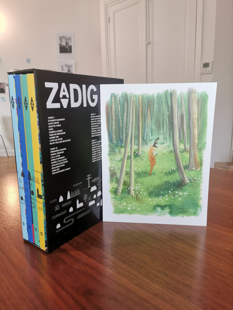 COFFRET ZADIG 2021 - NUMERO 9-10-11-12 -  Fottorino éric / vey françois - ZADIG