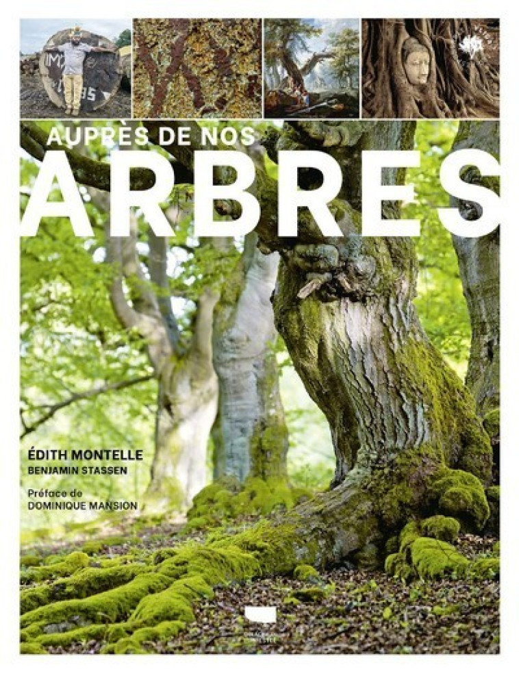 Auprès de nos arbres - Édith MONTELLE - DELACHAUX