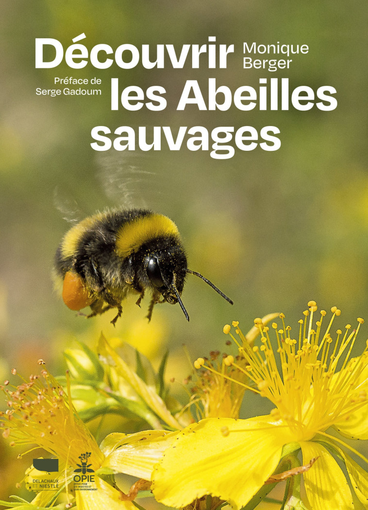 Découvrir les abeilles sauvages - Monique Berger - DELACHAUX