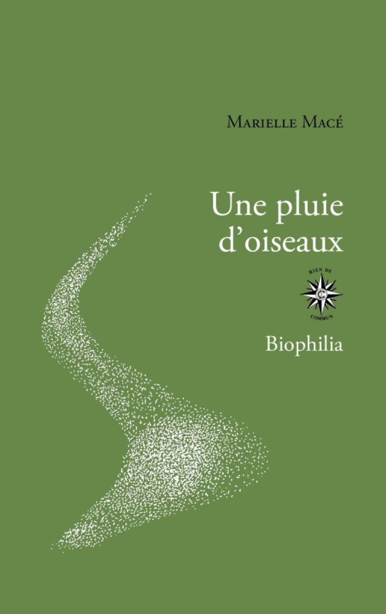 Une pluie d'oiseaux - Marielle Macé - CORTI