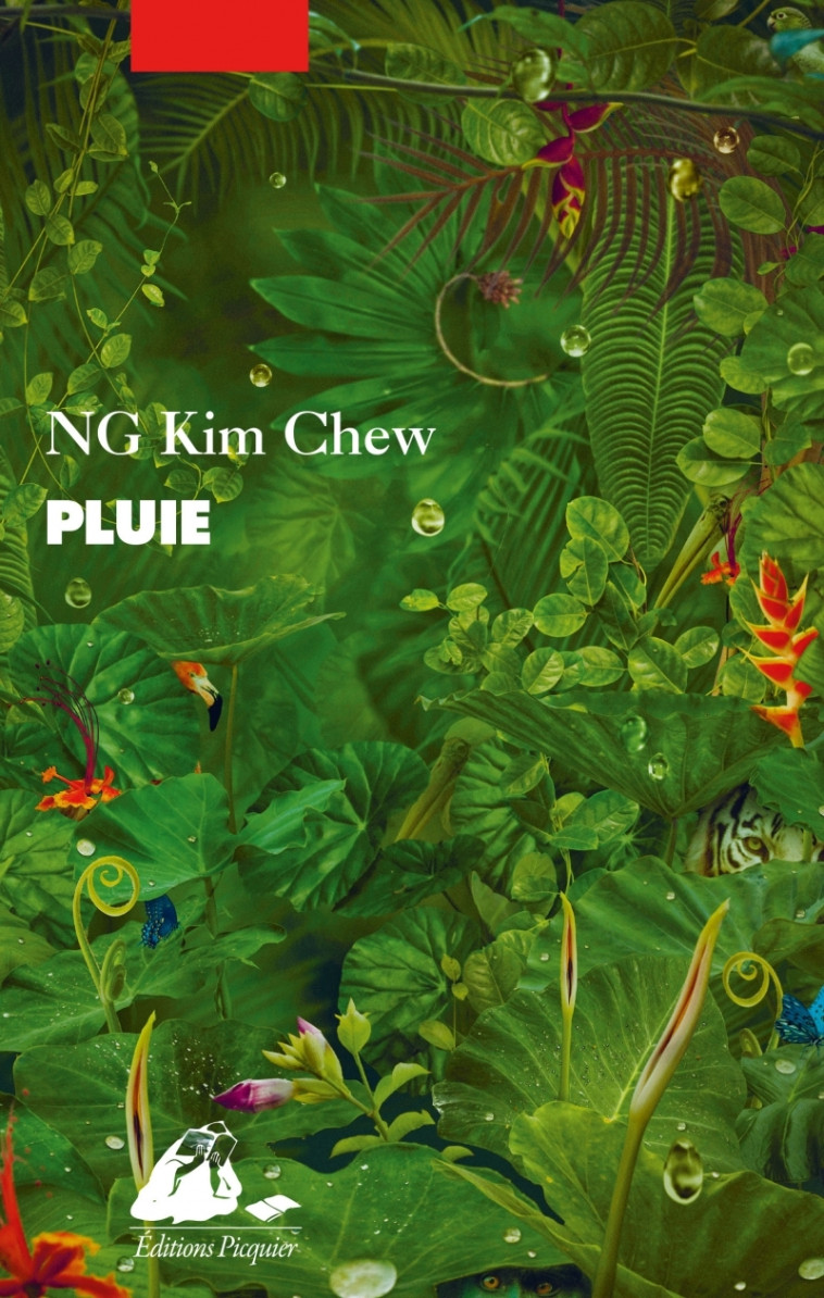 Pluie - Ng Chew KIM - PICQUIER