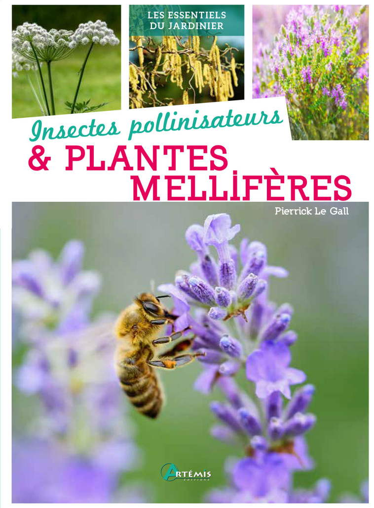 Insectes pollinisateurs & plantes mellifères - Pierrick Le Gall - ARTEMIS