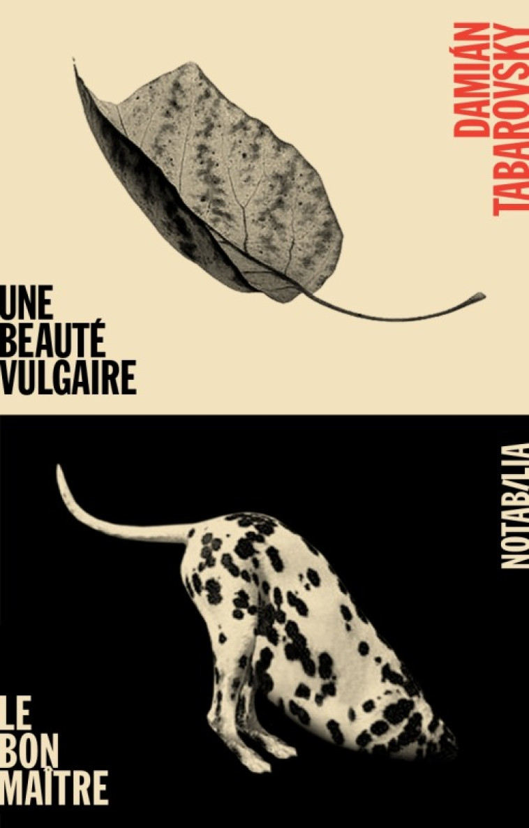 Une beauté vulgaire suivi par Le bon maitre - Damián Tabarovsky - NOIR BLANC