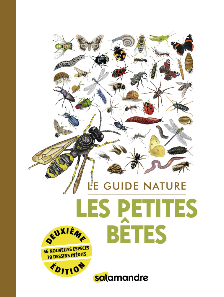 Le guide nature les petites bêtes -  Collectif - LA SALAMANDRE