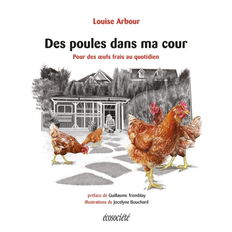 Des poules dans ma cour - Pour des oeufs frais au quotidien - Louise ARBOUR - ECOSOCIETE